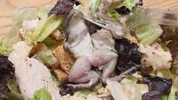 Desagradable sorpresa: compró una ensalada y se encontró con una rana