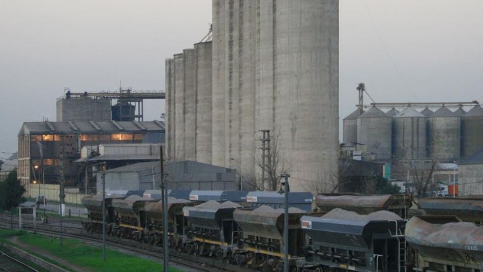 Molino Cañuelas, empresa