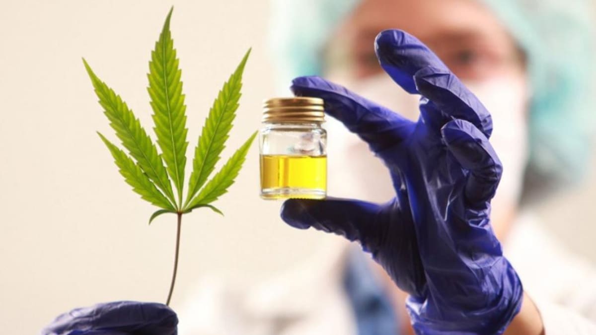 La ANMAT prohibió una serie de aceite de cannabis. Foto: NA.