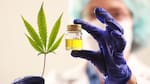 ANMAT prohibió una serie de aceites nutricionales a base de cannabis: el alarmante motivo