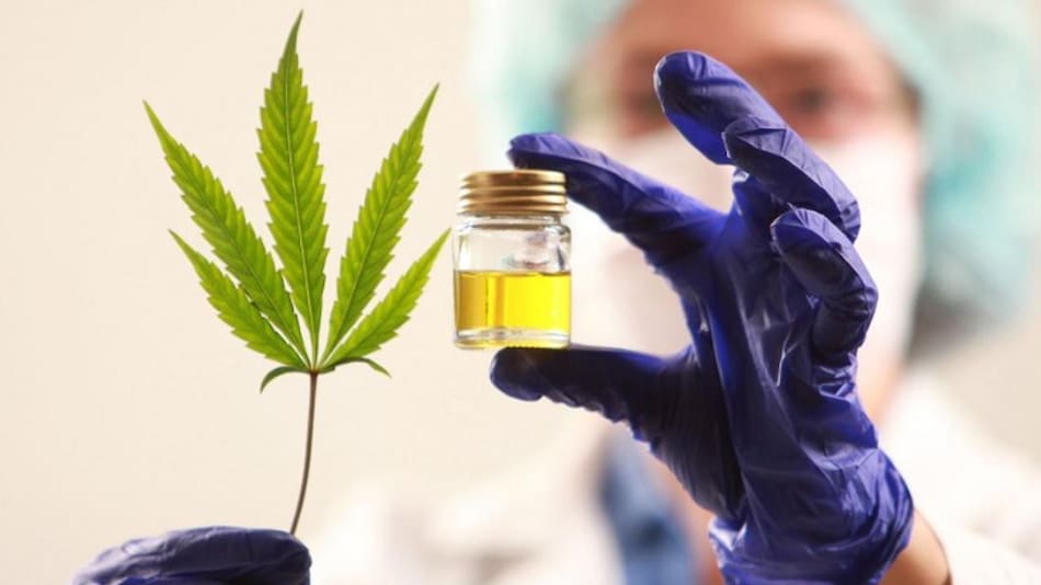 La ANMAT prohibió una serie de aceite de cannabis. Foto: NA.