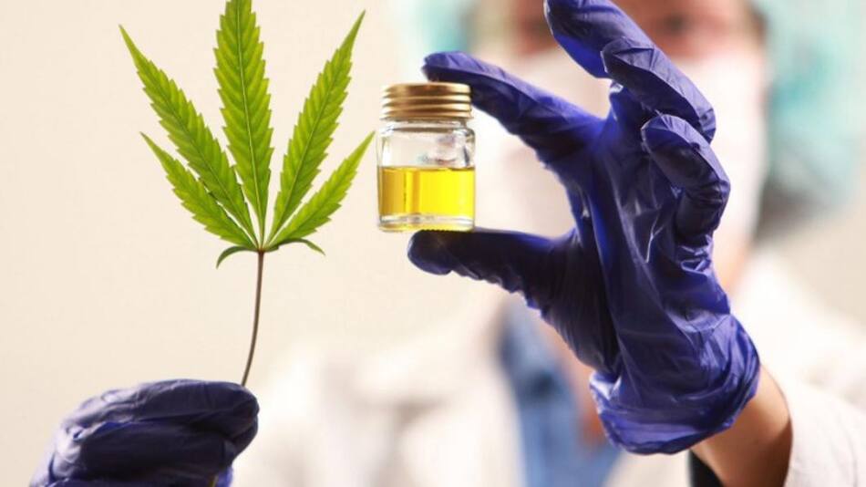Aceite de cannabis, NA