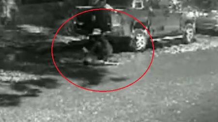 Joven desvanecido. Foto: captura.