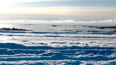 Mar congelado en Rio Grande. Fuente: X