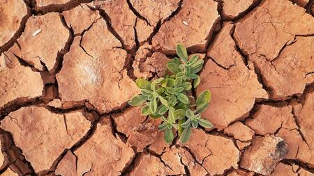 Las cifras alarmante del calentamiento global. Foto: Unsplash.