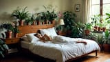 Las 5 plantas de interior ideales para el dormitorio: ayudan a dormir mejor y mejoran el aire