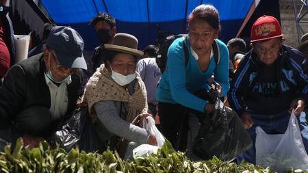 Hoja de coca, Bolivia. Foto: EFE