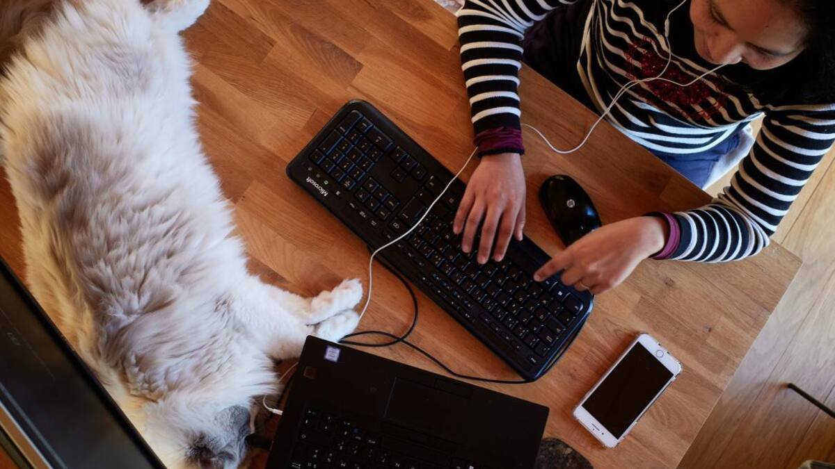 Homeoffice, REUTERS