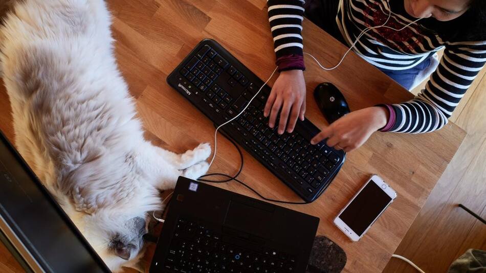 Homeoffice, REUTERS