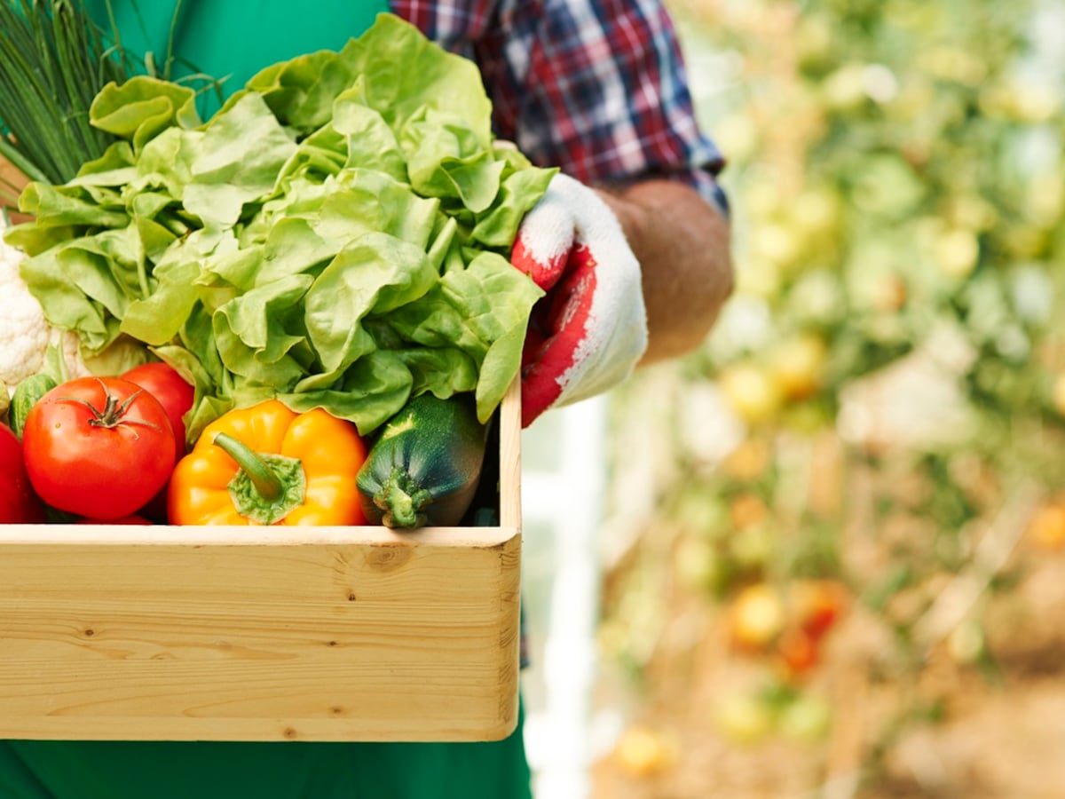 El único país del mundo 100% autosuficiente en alimentos está en Sudamérica: superó a China y Estados Unidos