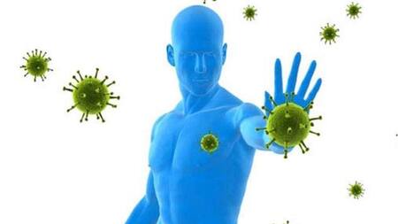 Sistema Inmunológio - Cornavirus