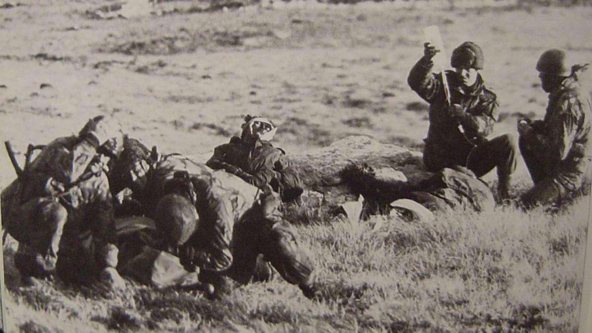 Guerra de Malvinas
