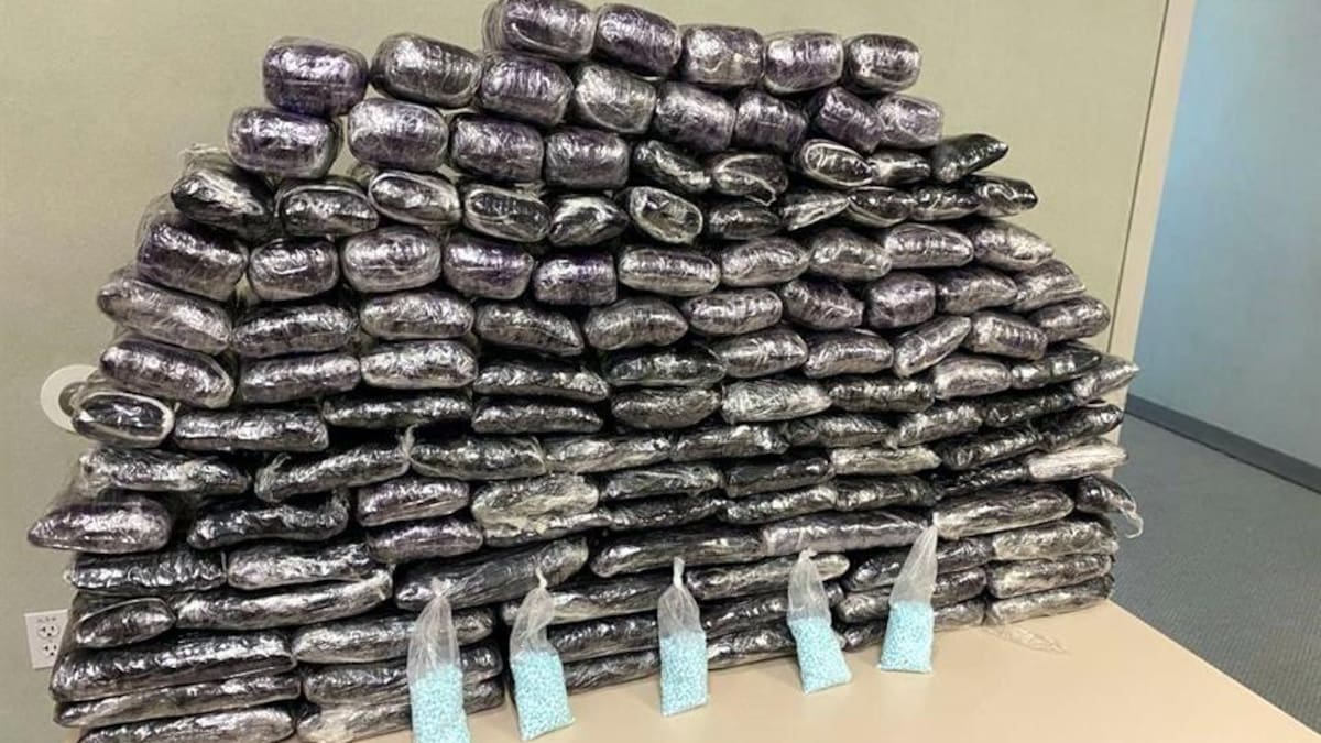 Pastillas de fentanilo secuestradas por Estados Unidos. Foto: Reforma