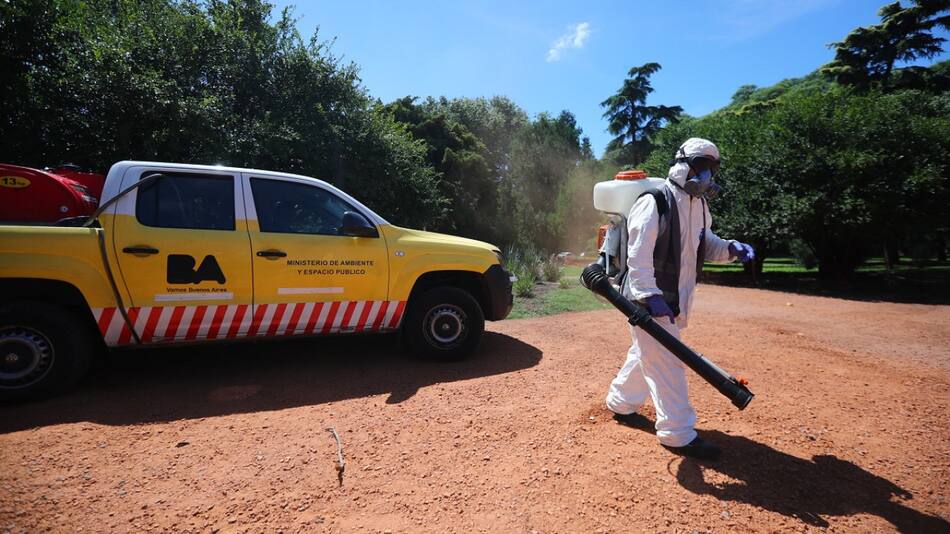 Invasión de mosquitos en Buenos Aires. Foto: NA.