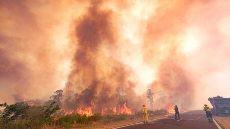 Incendios forestales. Foto: Télam