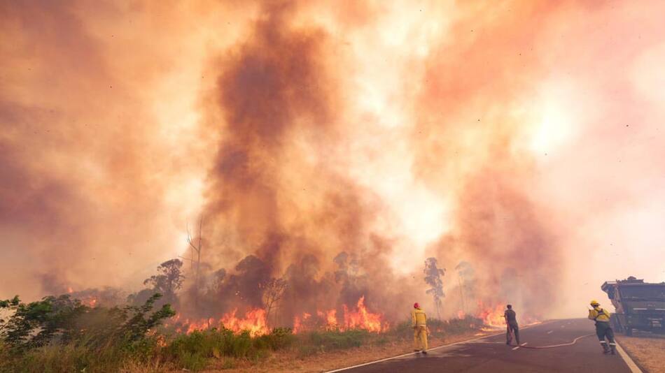 Incendios forestales. Foto: Télam