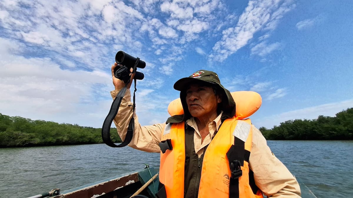 Los manglares de Tumbes son considerados uno de los ecosistemas costeros más importantes de Perú por su biodiversidad y capacidad de almacenar carbono.