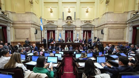 Debate en el Senado. Foto: X @SenadoArgentina