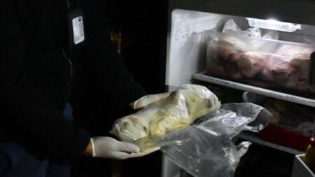 Villa Crespo, animales freezados en departamento, Foto: Policía de la Ciudad