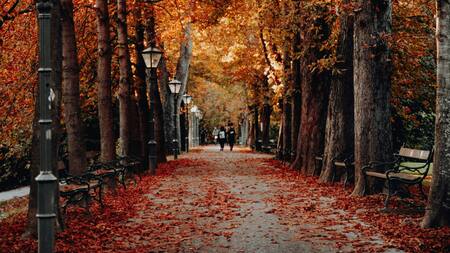 Clima otoñal para la próxima semana. Foto: Unsplash.