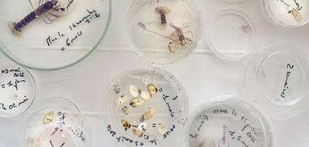 Museo de Historia Natural de París, Francia.