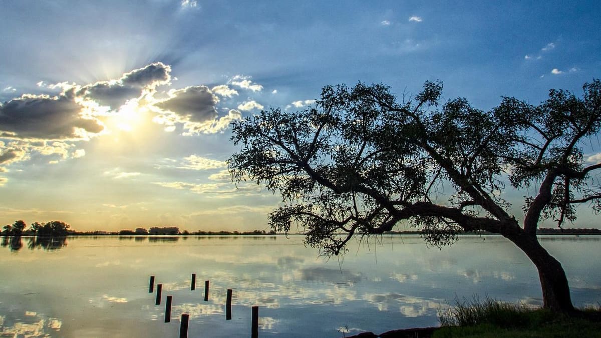 Laguna de Navarro