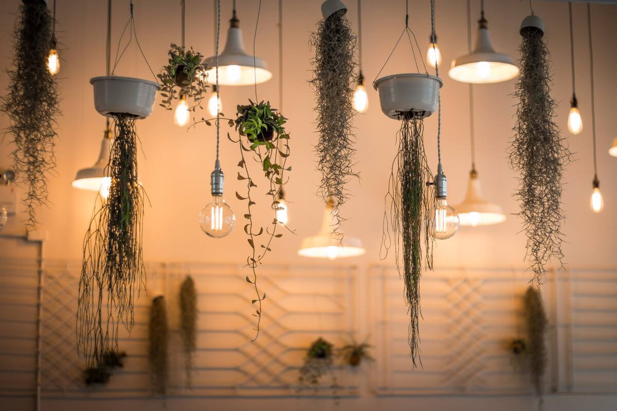 Luces, hogar. Foto Unsplash.