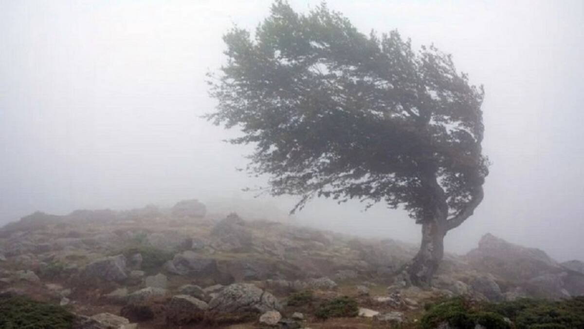 Viento, estado del tiempo, clima. Foto: NA.