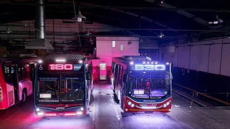 Nuevo paro de colectivos tras una agresión a un chofer