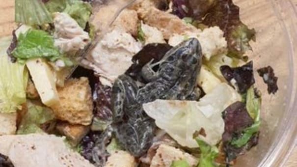 Cerraron provisoriamente lugar donde mujer se encontró una rana en la ensalada