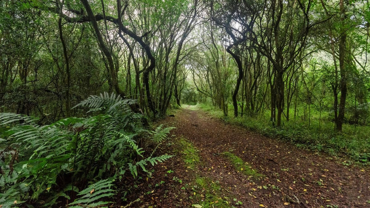 Parque Nacional El Rey. Fuente: Parques Nacionales