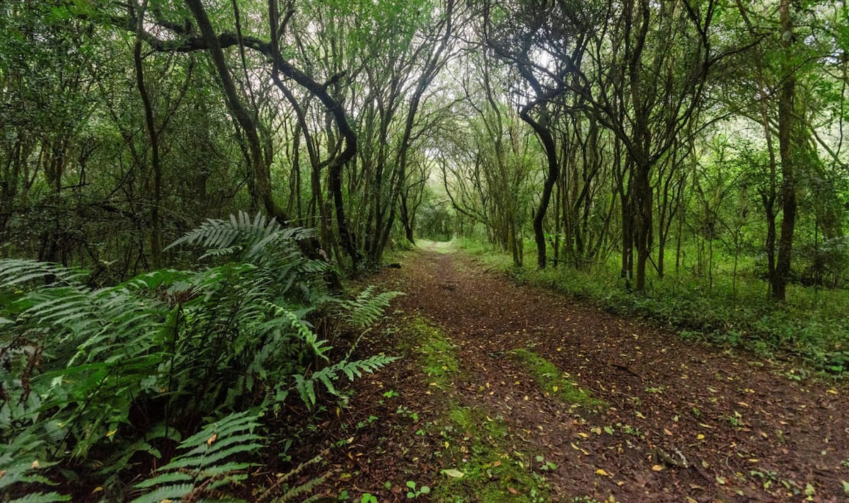 Parque Nacional El Rey. Fuente: Parques Nacionales