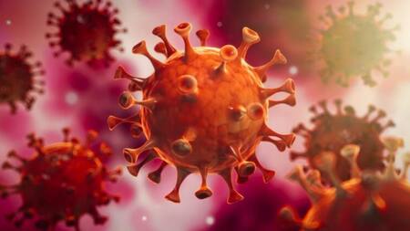 Coronavirus. Foto: NA.