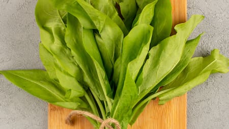 Cómo saber si la rúcula será suave o amarga, según Paulina Cocina