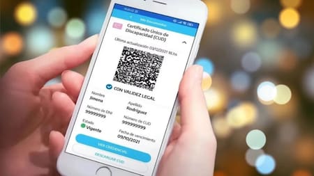 El Certificado Único de Discapacidad (CUD) tiene validez en toda la Argentina. Foto: NA.