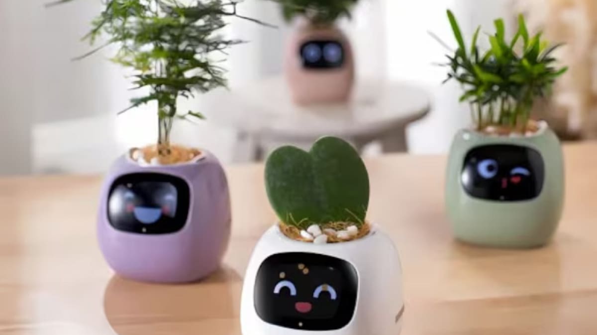 Cómo es Ivy, la maceta inteligente que funciona con IA y expresa las emociones de las plantas