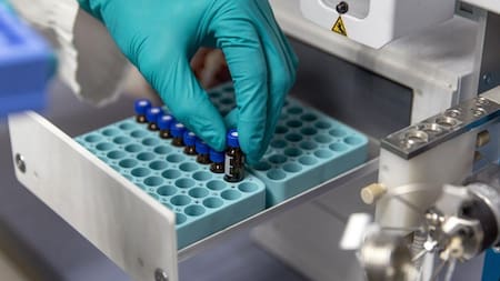 Coronavirus, avances científicos sobre nuevas cepas