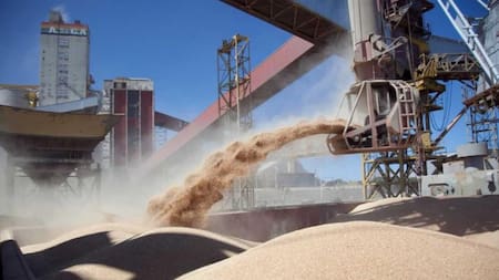 Cosecha de soja, foto NA