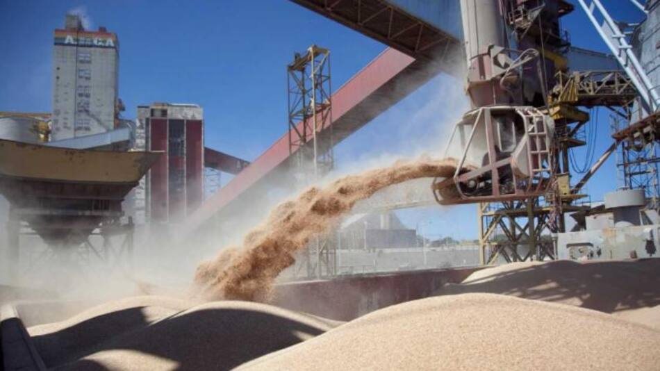 Cosecha de soja, foto NA