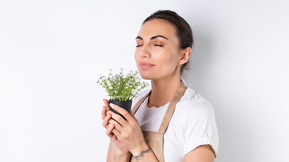 Plantas, jardinería.