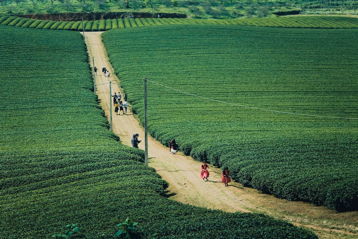 Vacaciones. Foto: Unsplash.