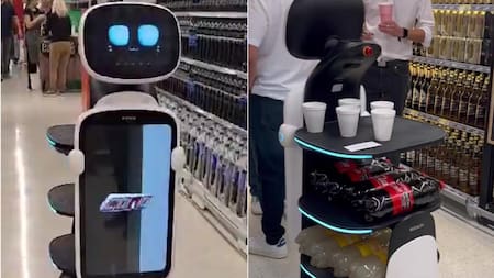 Robot del Coto de Mar del Plata. Fotos: captura de video