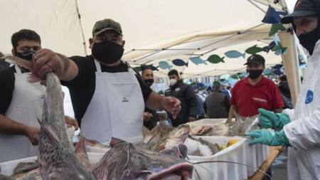 Pescadazo en el Congreso, NA