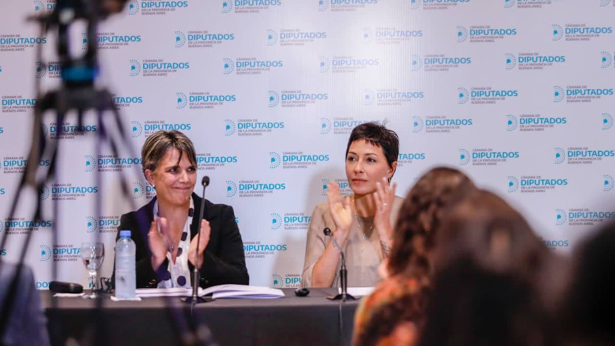 Mayra Mendoza presentó la “Ley Ema”.