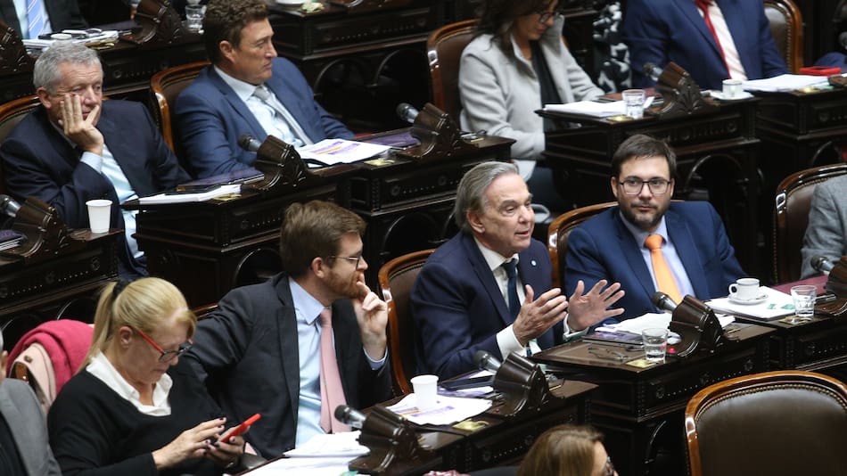 Miguel Ángel Pichetto en Diputados.