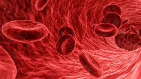 Coronavirus: detectan cuál es el tipo de sangre más resistente a la enfermedad