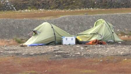 Un oso polar mata a un hombre durante el ataque a un campamento en Noruega, EURONEWS