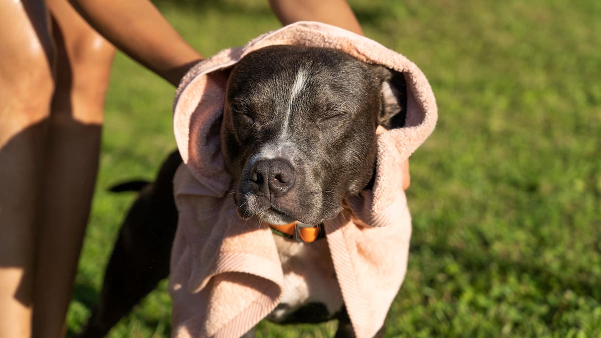 Cuidados con la ola de calor