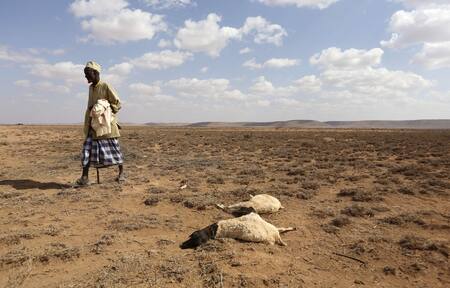 El Niño continuará durante el invierno boreal, según meteorólogos estadounidenses. Foto Reuters.