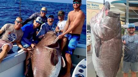 Pesca insólita en Florida, sacó un pez en peligro de extinción